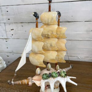 Thuyền buồm ốc gai vàng