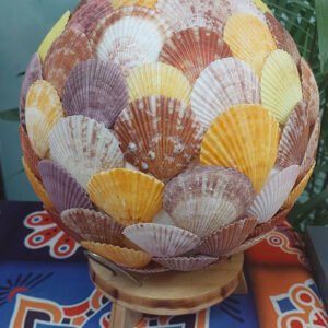 Đèn tròn sò điệp