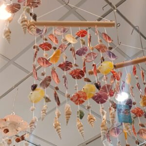 Chuông gió sò điêp cá đỏ